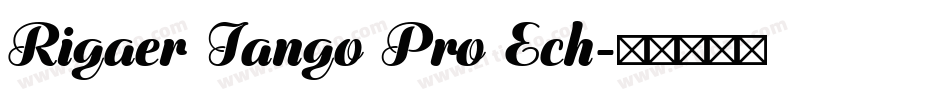 Rigaer Tango Pro Ech字体转换